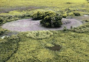 Hay más de tres mil cerritos de indios en Uruguay